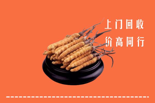高价求购：庐山市回收散虫草